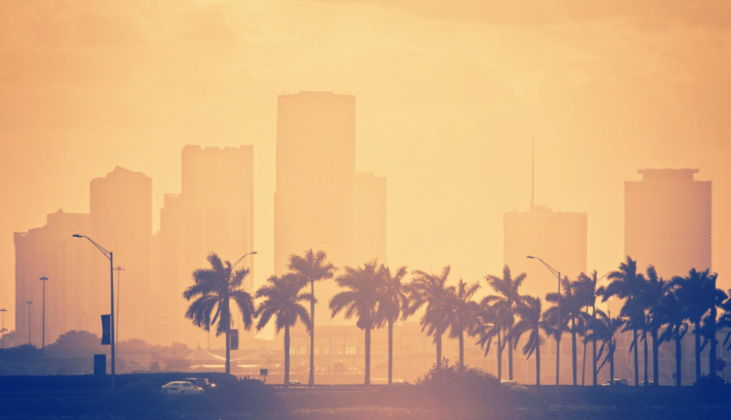 palm trees and skyline in miami