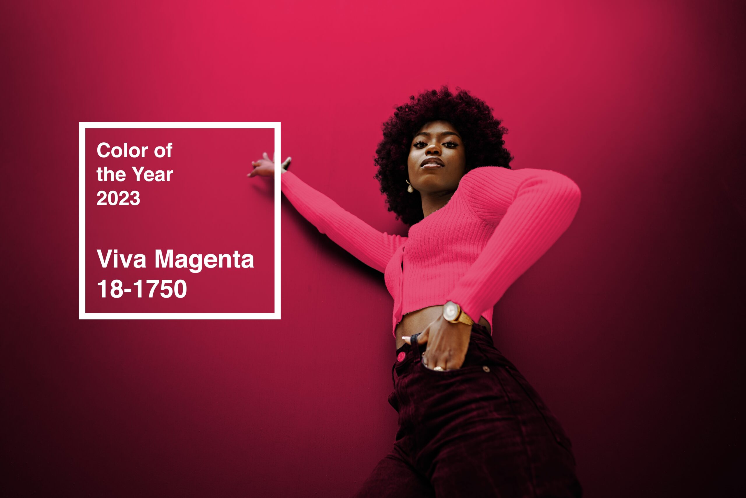 Viva Magenta: Pantone's Colour For 2023 Is An Unconventional Shade